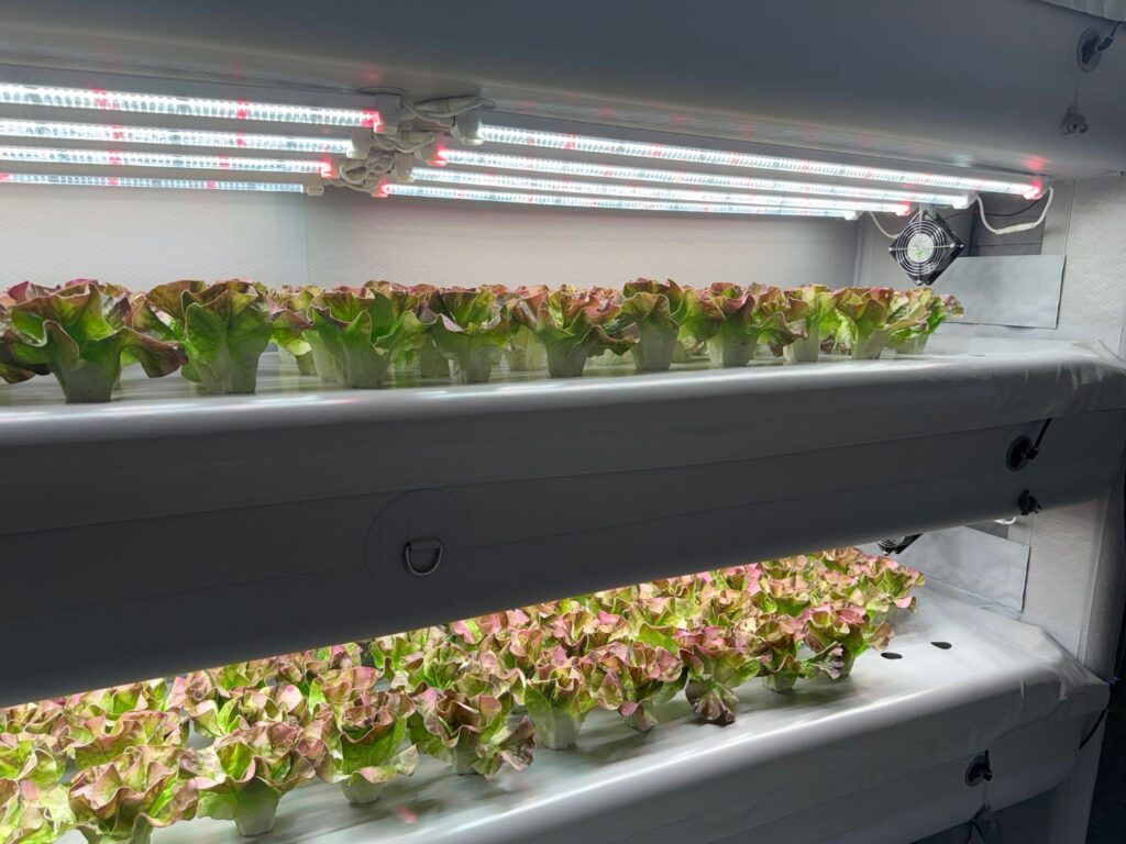 prototipos agrotech