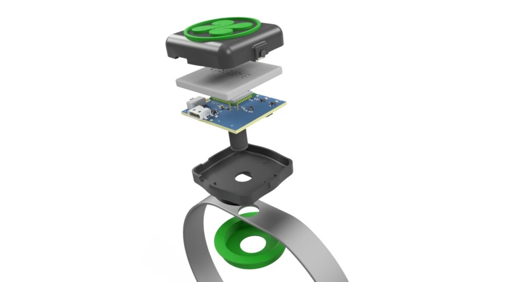 termómetro para perros